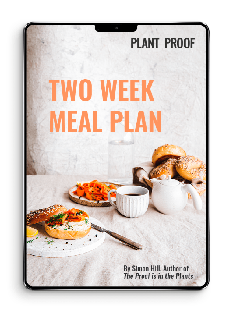 2 week plan book
