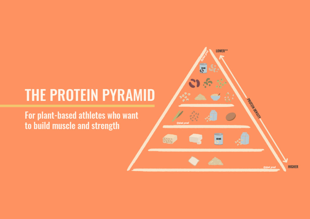 Plant Proof Protein Pyramid