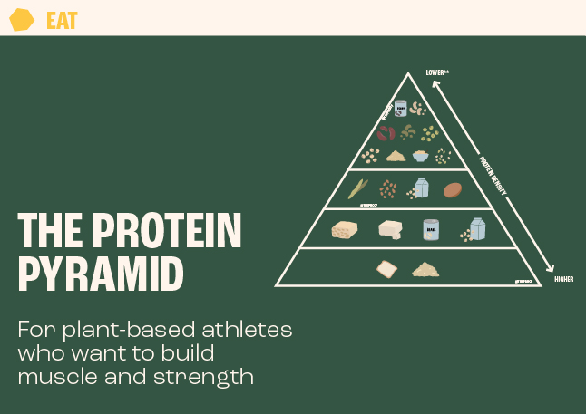 Plant-based diet for strength training athletes
