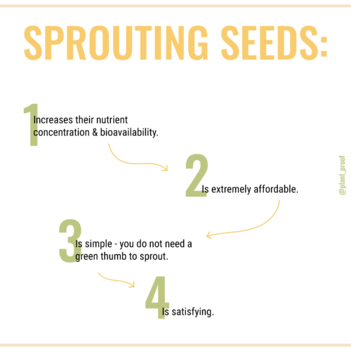 Why we should be sprouting with Doug Evans and Simon Hill on the Plant Proof Podcast